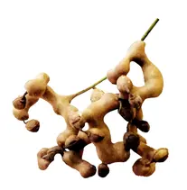 product-1-1 product-1-1