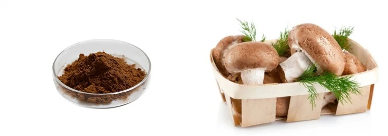 product-1-1 product-1-1