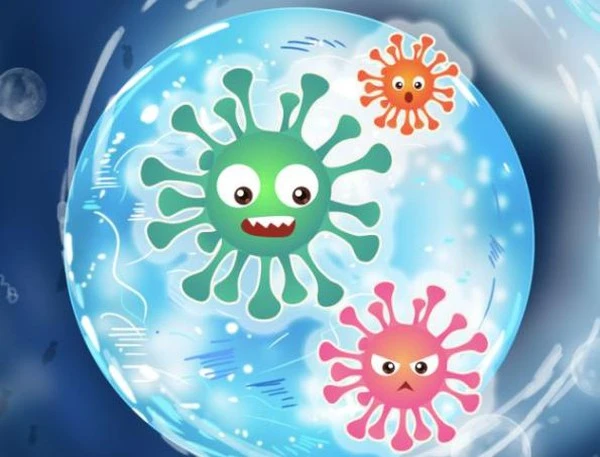 product-1-1 product-1-1