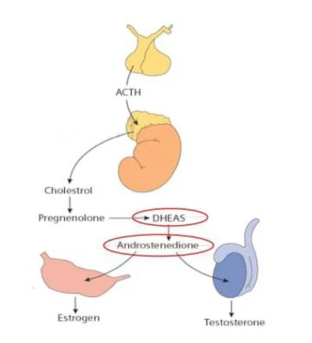 product-1-1 product-1-1