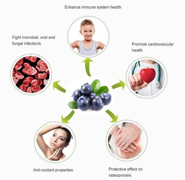 product-1-1 product-1-1