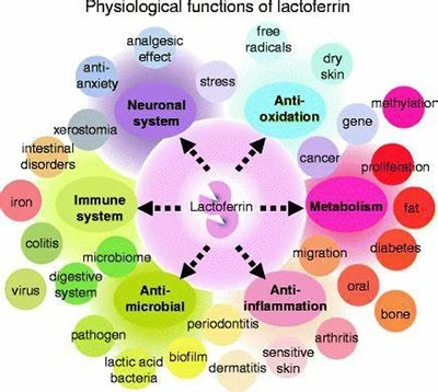 product-1-1 product-1-1