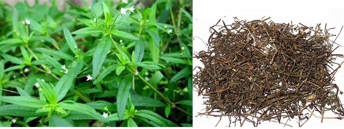 product-1-1 product-1-1