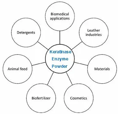 product-1-1 product-1-1