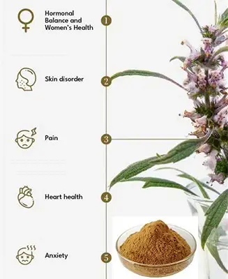 product-1-1 product-1-1