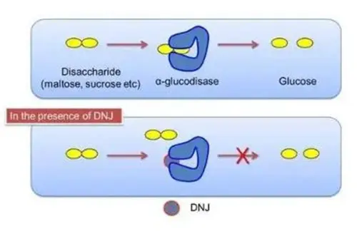 продукт-1-1 продукт-1-1