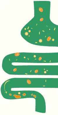 product-1-1 product-1-1