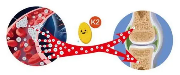 product-1-1 product-1-1