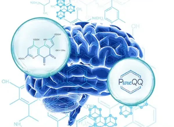 product-1-1 product-1-1