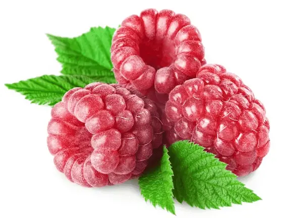 product-1-1 product-1-1