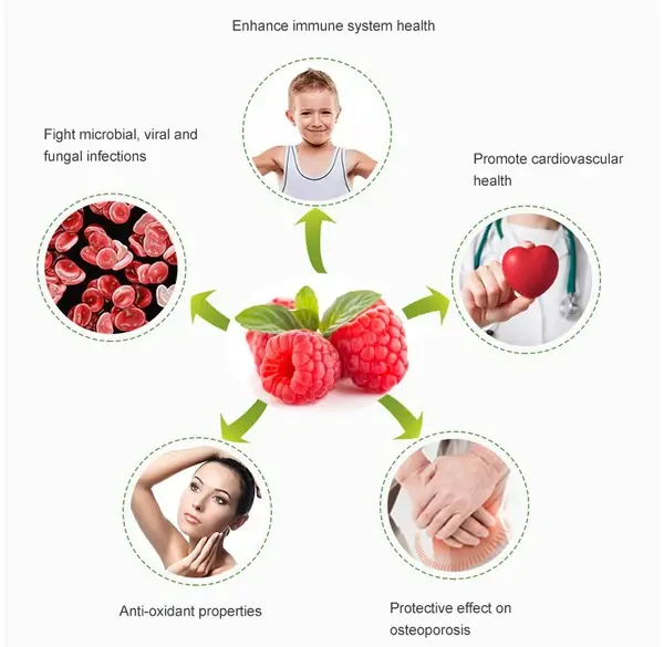 product-1-1 product-1-1