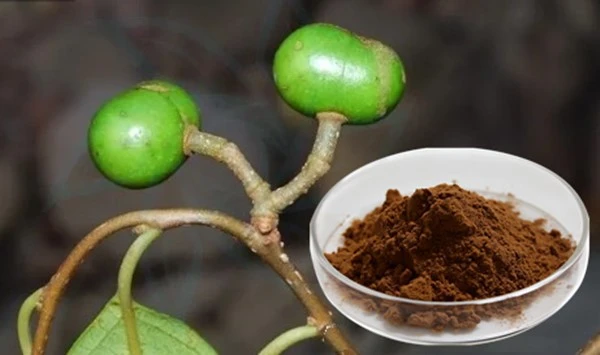 product-1-1 product-1-1