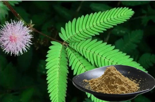 product-1-1 product-1-1