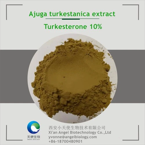 product-1-1 product-1-1