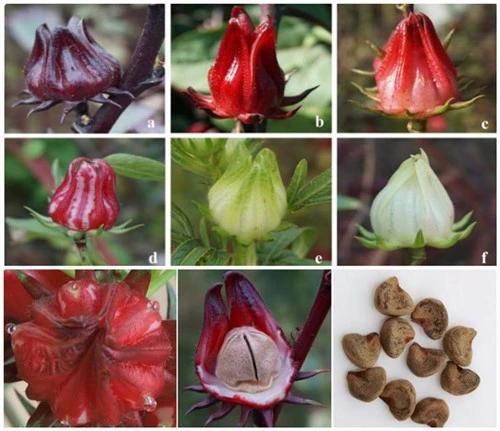 product-1-1 product-1-1