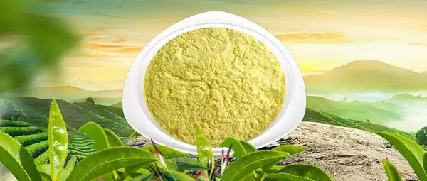 product-1-1 product-1-1