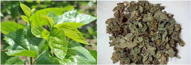 product-1-1 product-1-1