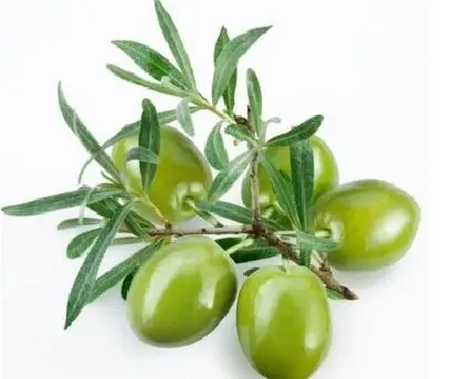 product-1-1 product-1-1