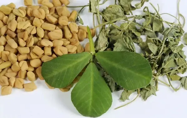 product-1-1 product-1-1