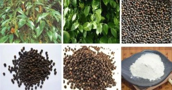 product-1-1 product-1-1