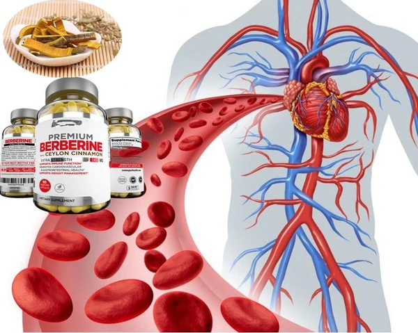 product-1-1 product-1-1