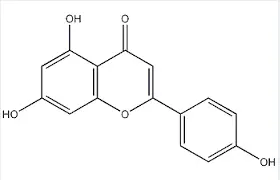 product-1-1