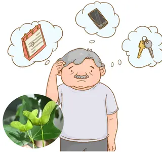 product-1-1 product-1-1