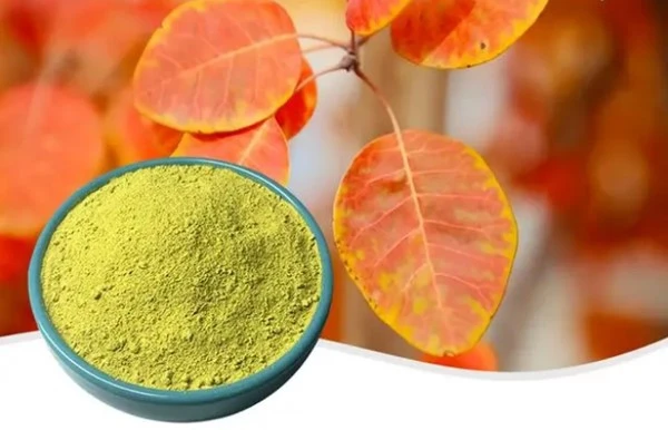 product-1-1 product-1-1