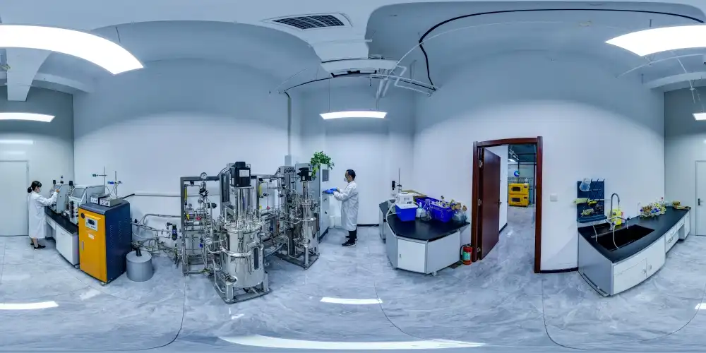 img-382-382 img-382-382