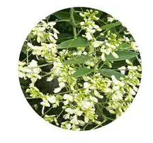 blog-1-1