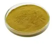 Loquat Extract What are the 3 surprising benefits of Loquat Leaf Extract Powder ...