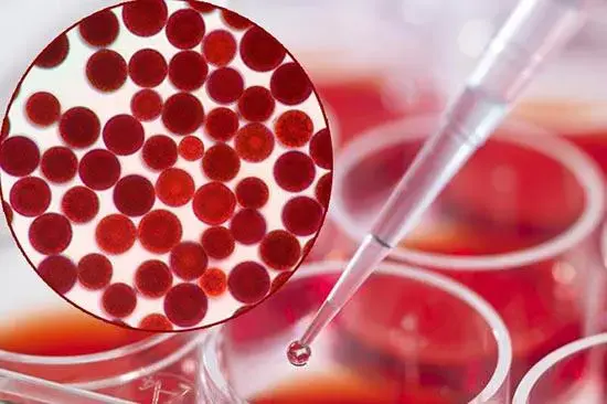 product-1-1 product-1-1