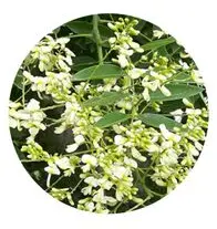 blog-1-1