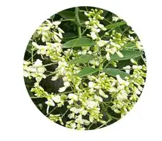 blog-1-1