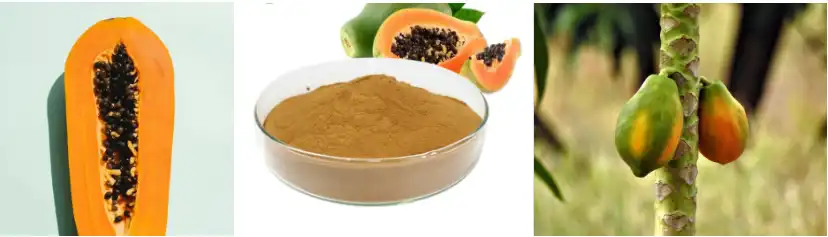 product-1-1 product-1-1