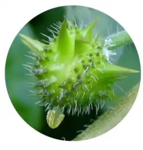 blog-1-1