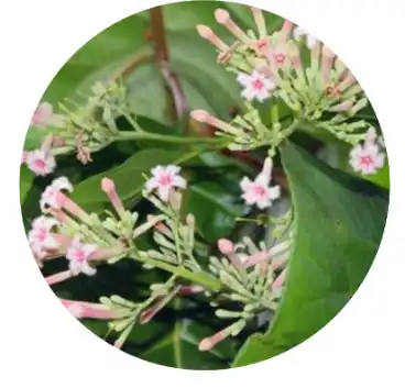 blog-1-1