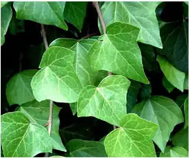 blog-1-1