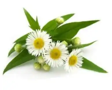 blog-1-1