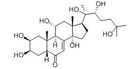 product-1-1