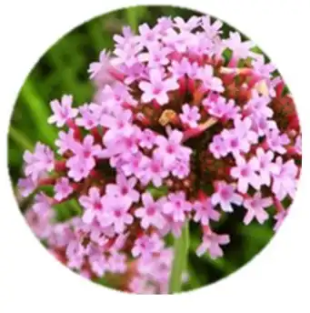 blog-1-1