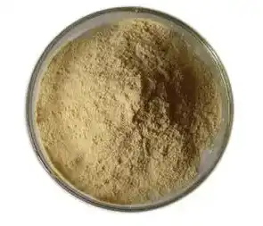 Ursolic acid Powder manufacturer Ursolic acid Powder manufacturer