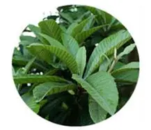 blog-1-1