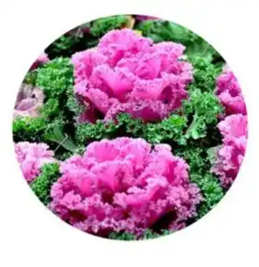 blog-1-1