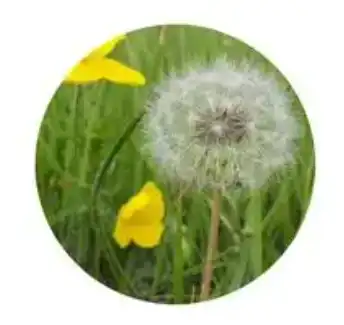 blog-1-1