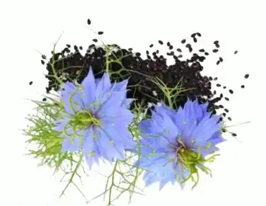 blog-1-1