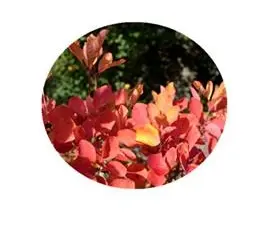 blog-1-1