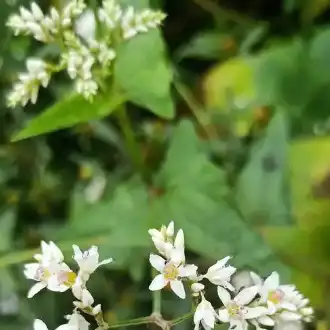 blog-1-1