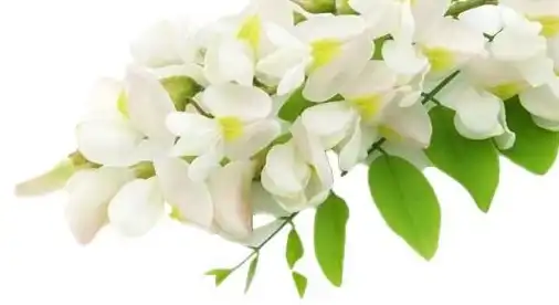 blog-1-1