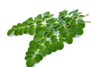 blog-1-1